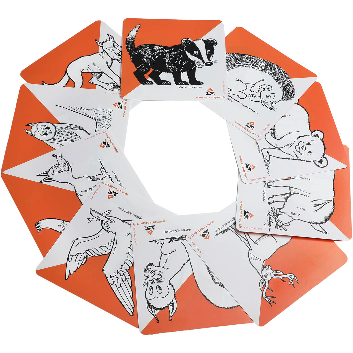 Orienteringsskärmspaket ”Skog”