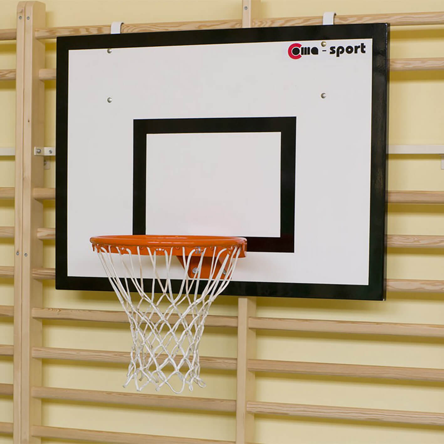 Basketbollplatta set