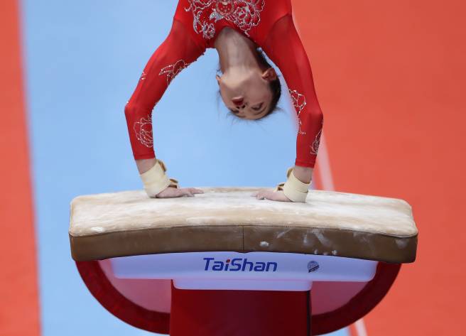 Taishan FIG springbord