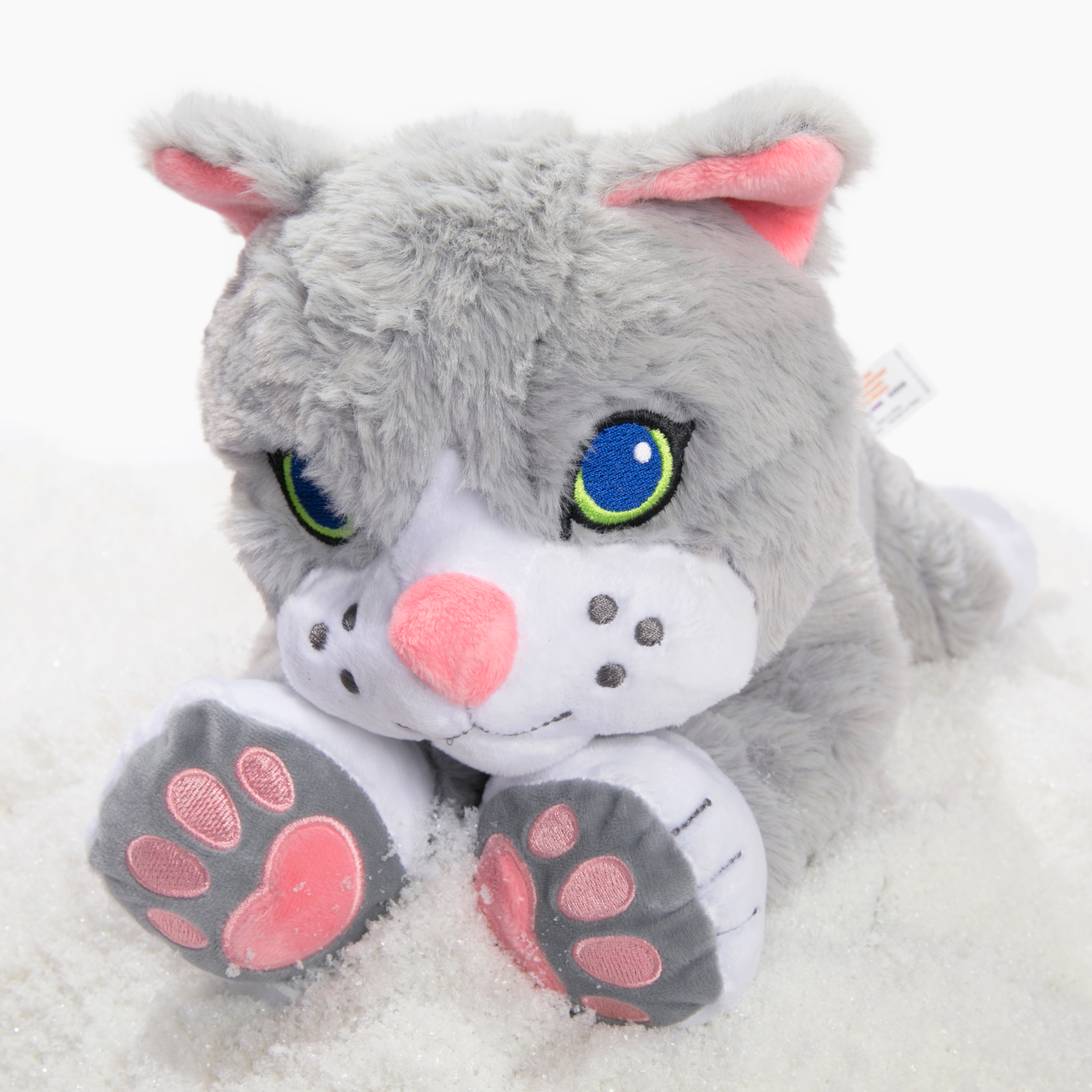 Terapi bamsen katten Chloe