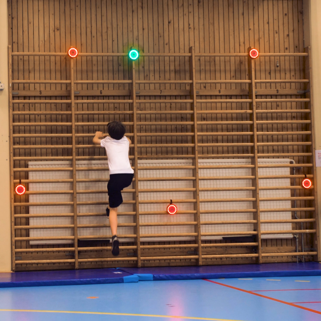 Push Laser Gun Puck paket