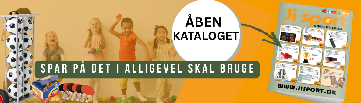 Forside - Danmark - Vinter